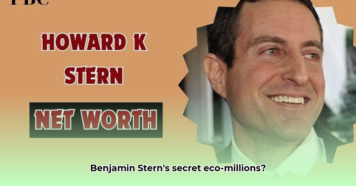 benjamin-stern-net-worth